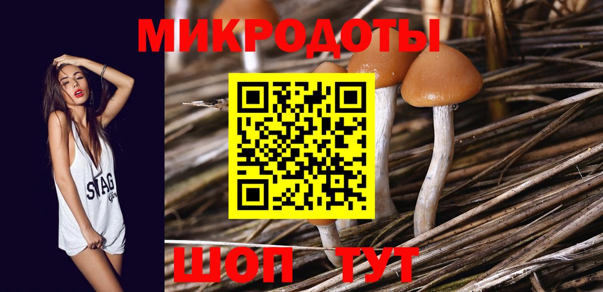 закладка  Псилоцибиновые грибы MAGIC MUSHROOMS  Вход с VPN  Рубцовск 